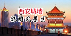 三级日逼黄色网站中国陕西-西安城墙旅游风景区